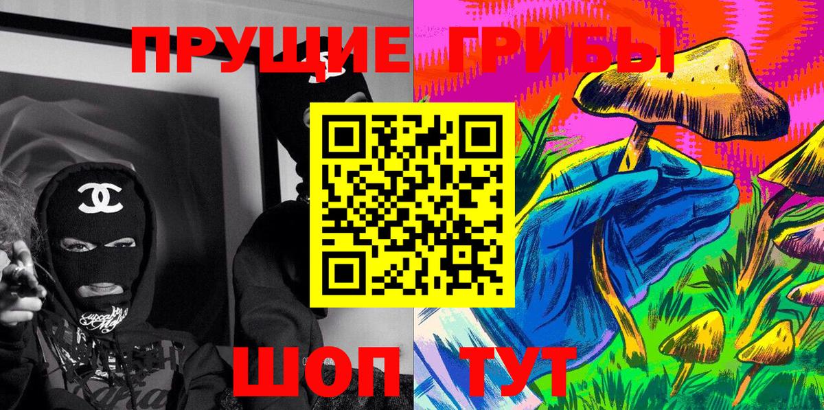 Галлюциногенные грибы Psilocybe  Вход с VPN  Михайловск 