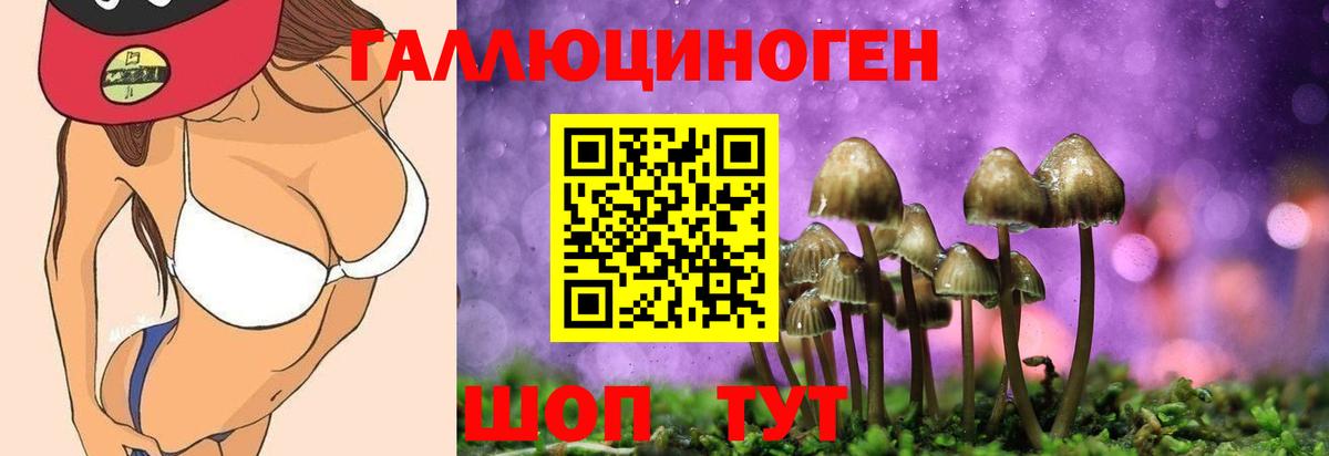 Галлюциногенные грибы Cubensis Михайловск
