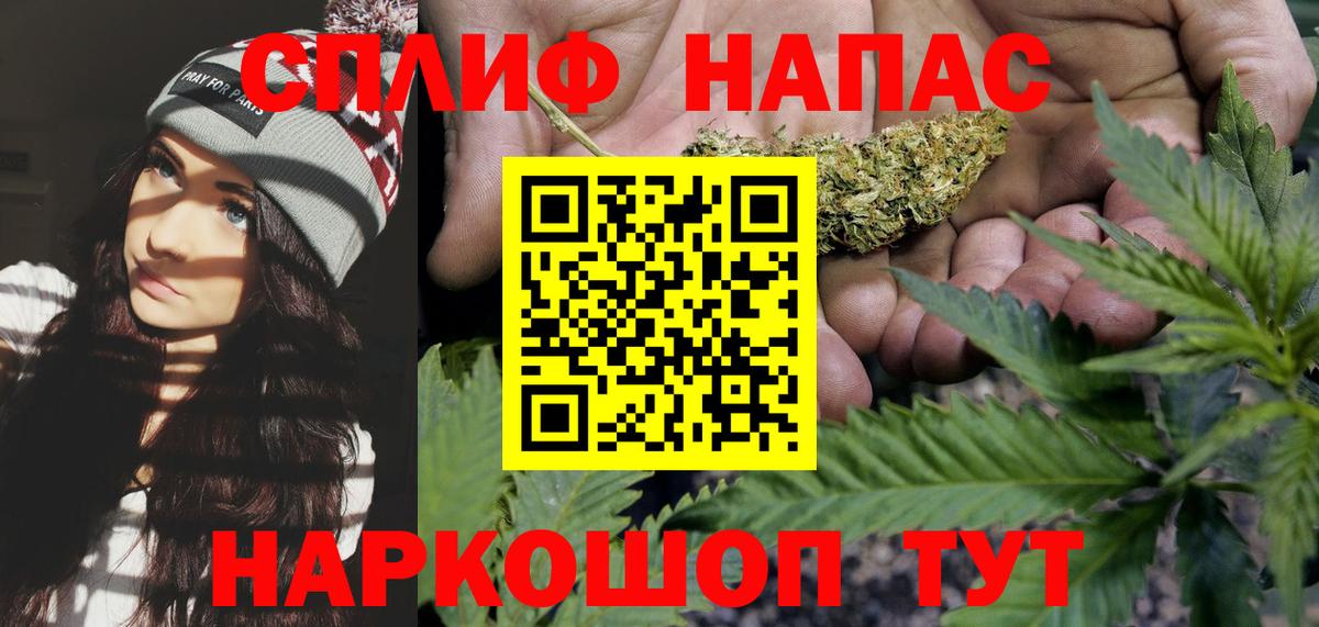 Конопля индика Михайловск